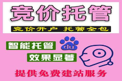 热门充值高返点平台案例分析